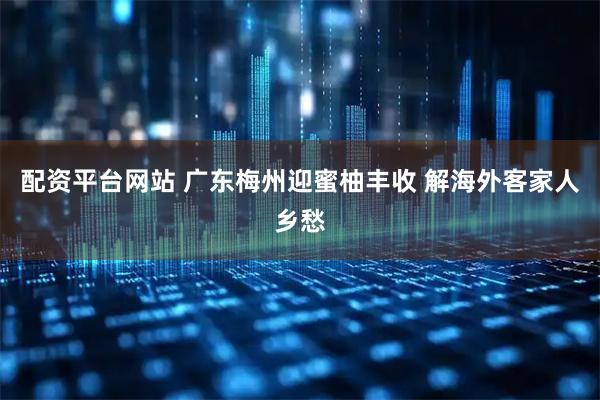 配资平台网站 广东梅州迎蜜柚丰收 解海外客家人乡愁