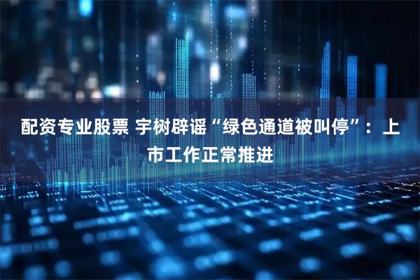 配资专业股票 宇树辟谣“绿色通道被叫停”：上市工作正常推进