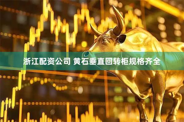 浙江配资公司 黄石垂直回转柜规格齐全