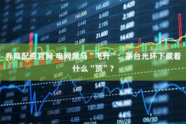 券商配资官网 电网黑马“飞升”：茅台光环下藏着什么“顶”？